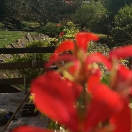 Alojamento de Turismo Rural La Ca' Di Albasi Renzo Bicchignano