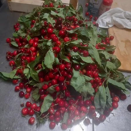 La Ca' Di Albasi Renzo Farma *