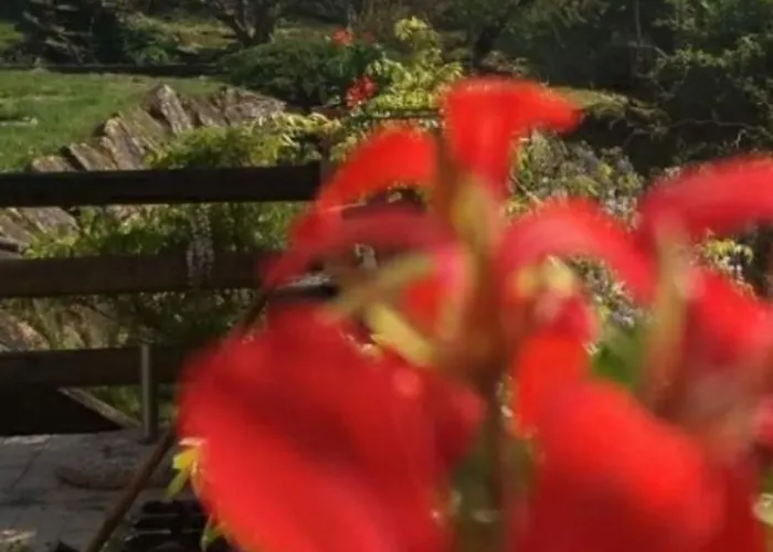 Çiftlik konaklama La Ca' Di Albasi Renzo Bicchignano