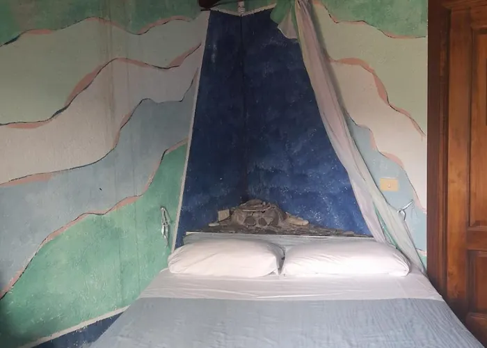 La Ca' Di Albasi Renzo Farma *