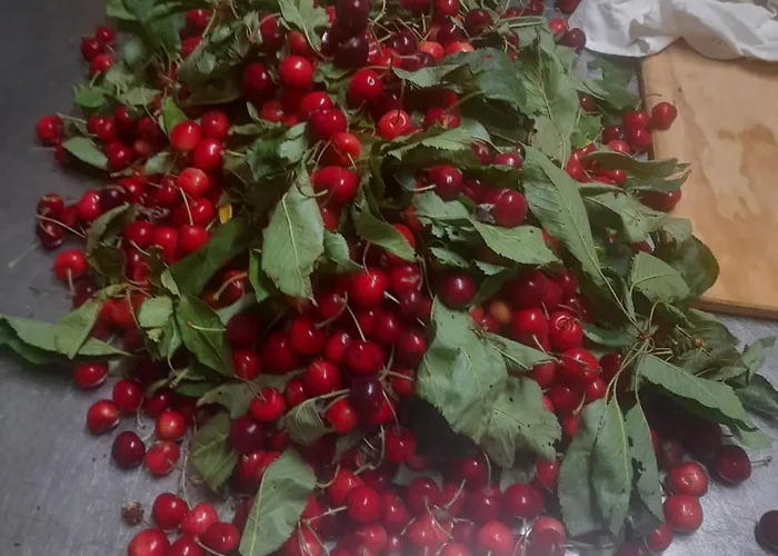 La Ca' Di Albasi Renzo Çiftlik konaklama *